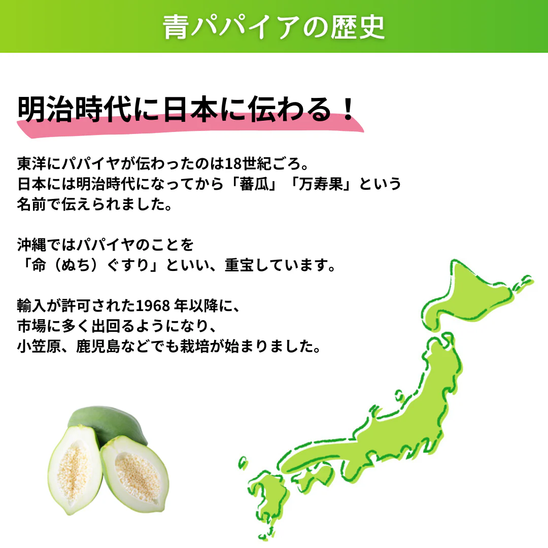 りらいぶパパイア - Image 9